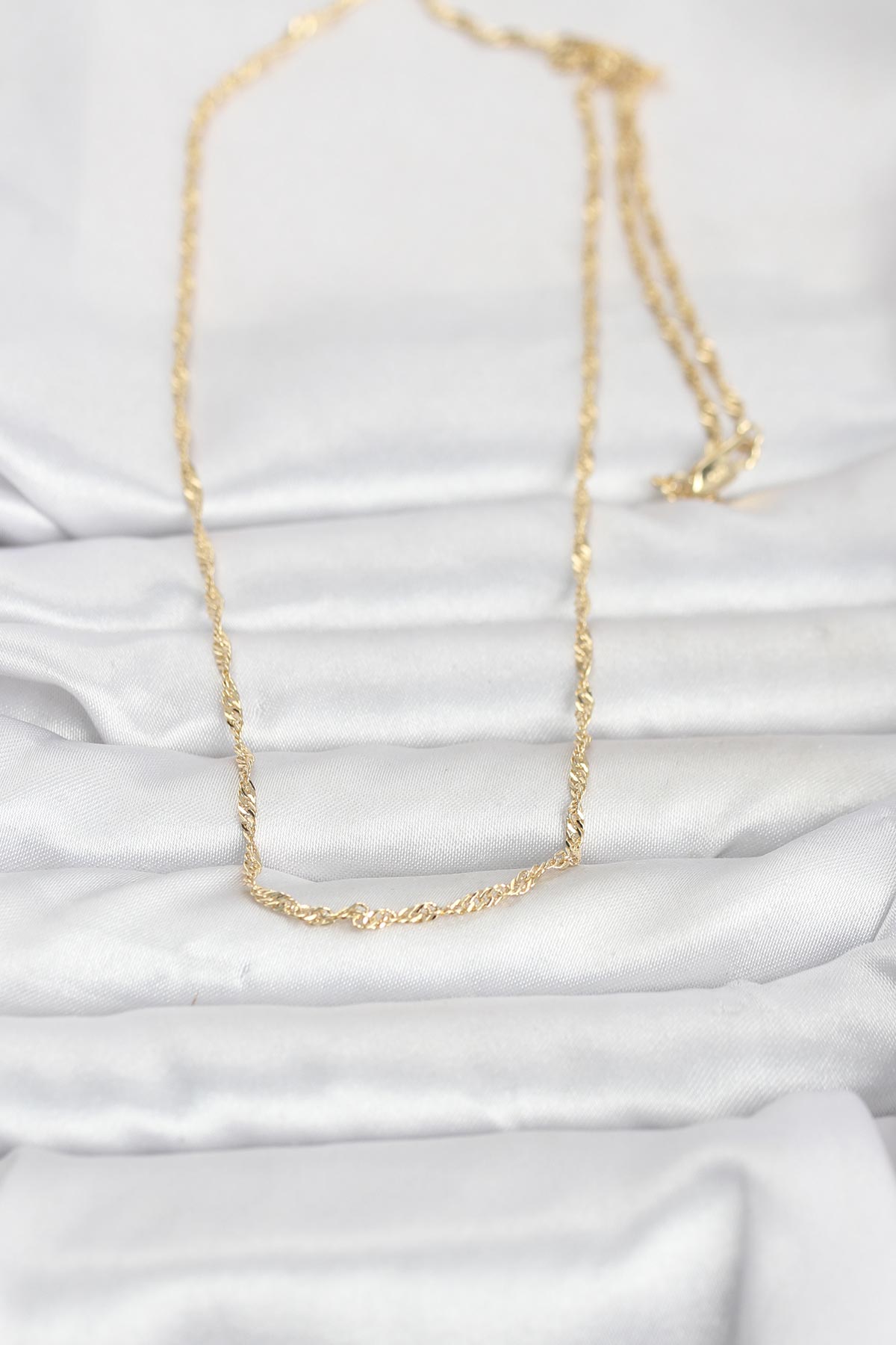 CM 14K Gold Renk Burgu Zincirli 60 cm Kadın Kolye 2